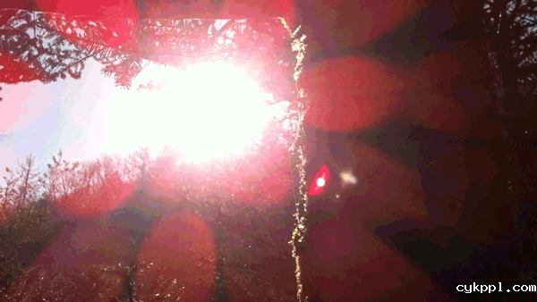 全国百家媒体聚焦神农架金丝猴栖息地