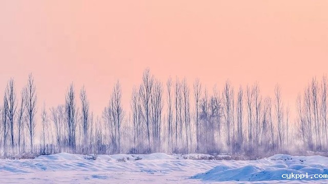 冬季外拍不容易,这些问题要注意 冬季外拍不容易,这些问题要注意