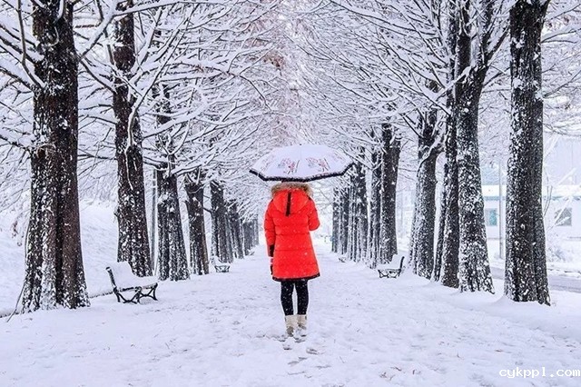 冬季外拍不容易,这些问题要注意 冬季外拍不容易,这些问题要注意