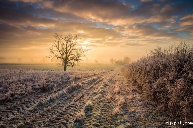 冬季外拍不容易,这些问题要注意 冬季外拍不容易,这些问题要注意
