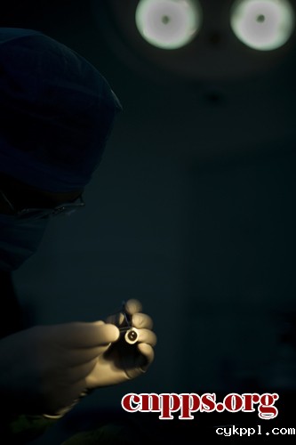 给你眼睛 替我看世界