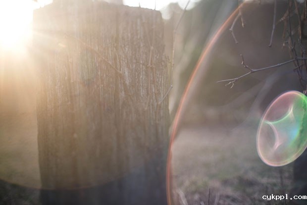 “DIY 50mm 移轴镜头”实拍样张