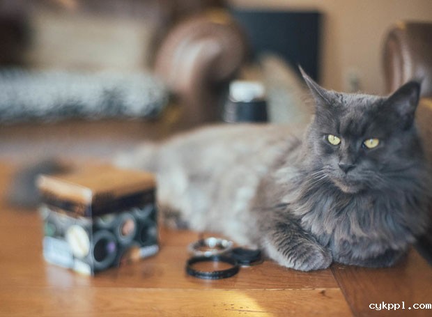 “DIY 50mm 移轴镜头”实拍样张