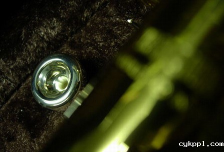 微距摄影3招技法