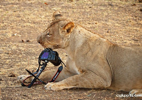摄影玩家极易犯的7大失误