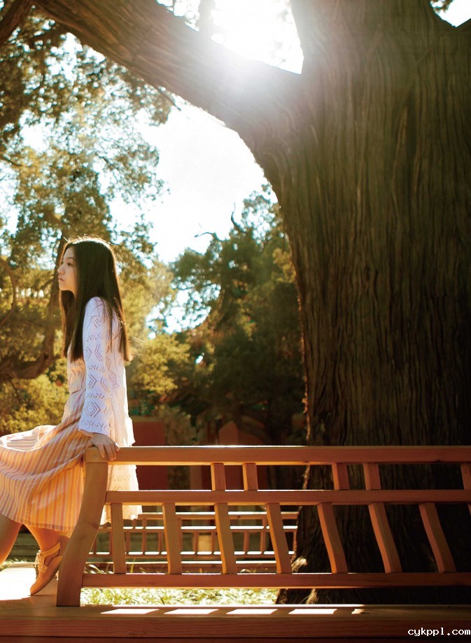 利用环境的遮挡获得理想的光线