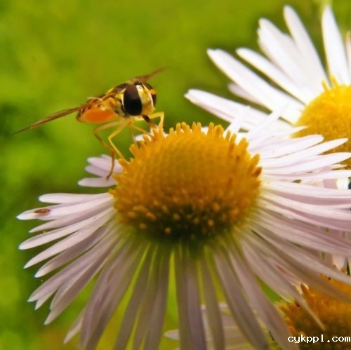 为摄影新手答疑 12个配置三脚架的理由