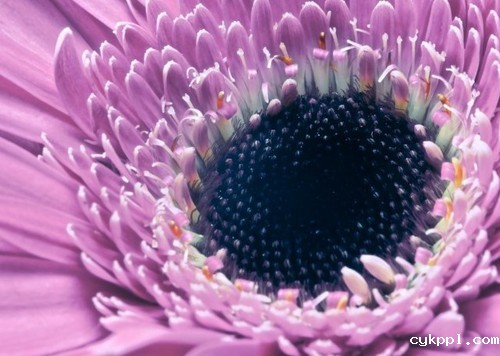 为摄影新手答疑 12个配置三脚架的理由