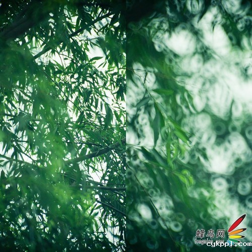  教你不用折返镜头拍出甜圈