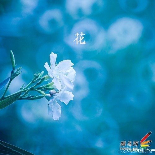  教你不用折返镜头拍出甜圈