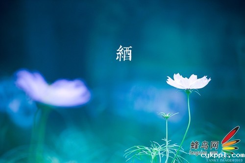  教你不用折返镜头拍出甜圈