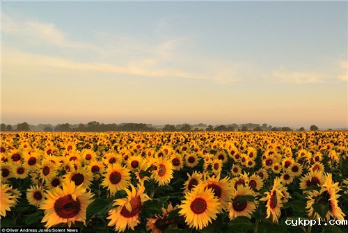神童具摄影天赋 巧选景拍壮观唯美场面