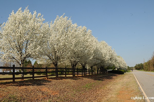 你的相机有入尘吗？可在PS里揭晓答案