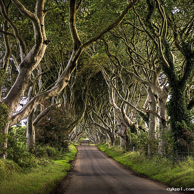 8个公路摄影的小提示