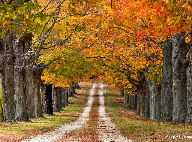 8个公路摄影的小提示