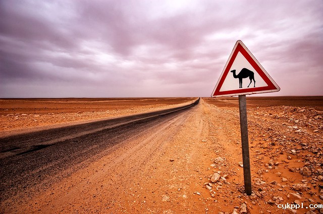 8个公路摄影的小提示