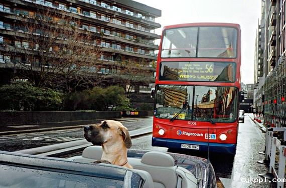 寻找生活的笑点