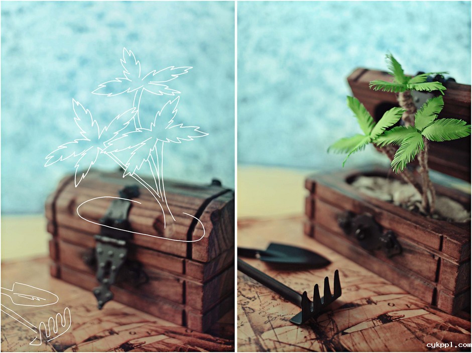 摄影是件愉快而优美的小事 创意静物作品