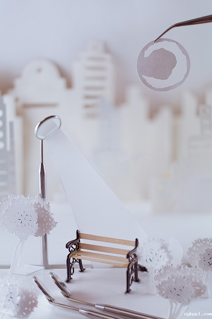 摄影是件愉快而优美的小事 创意静物作品