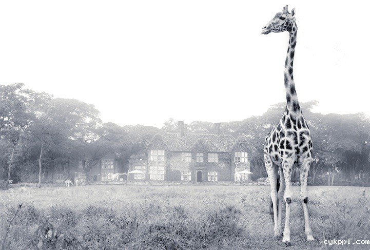 长颈鹿先生的早餐