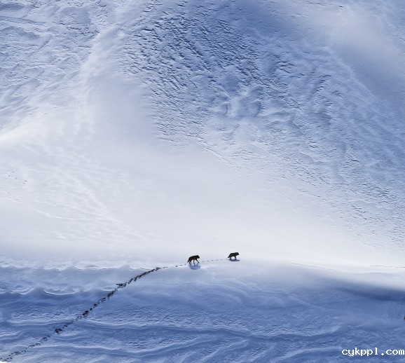 第57届荷赛奖揭晓 中国三位摄影师获奖