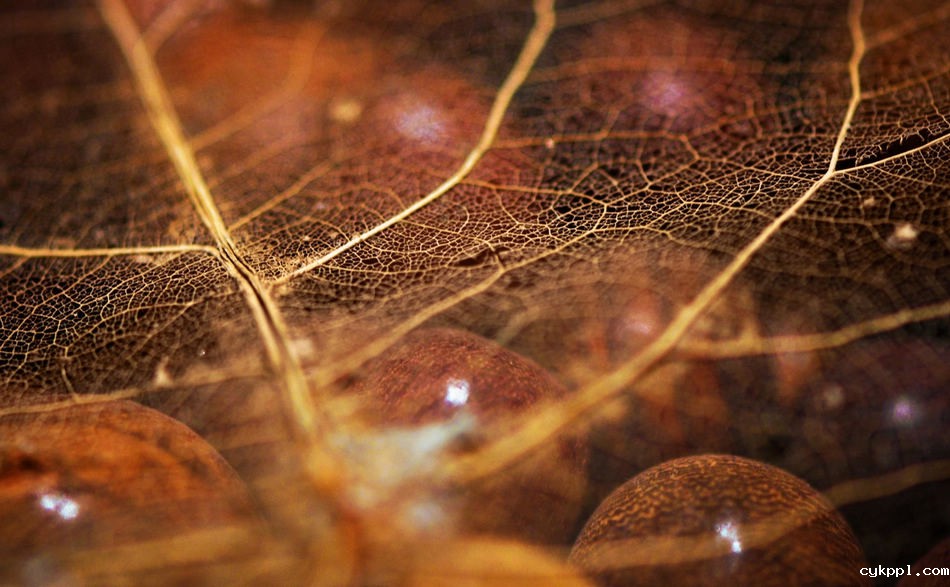 观念摄影：寻宝游戏