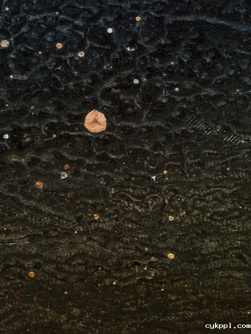 观念摄影：寻宝游戏