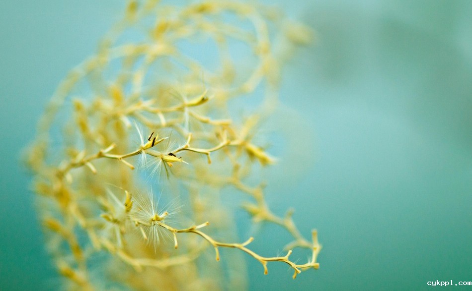 观念摄影：寻宝游戏