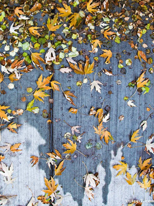 观念摄影：寻宝游戏