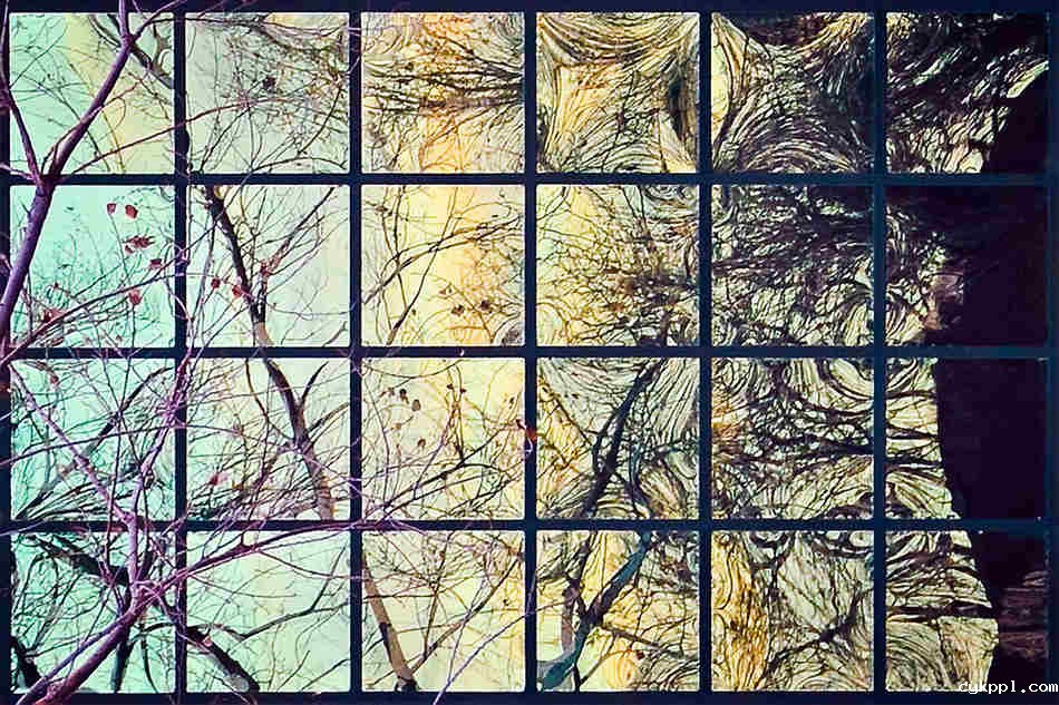 观念摄影：寻宝游戏