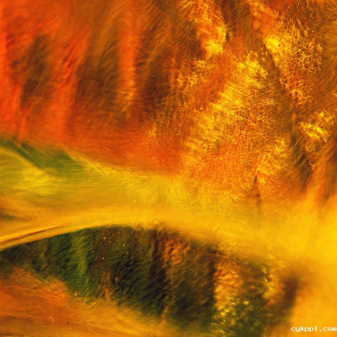 观念摄影：寻宝游戏