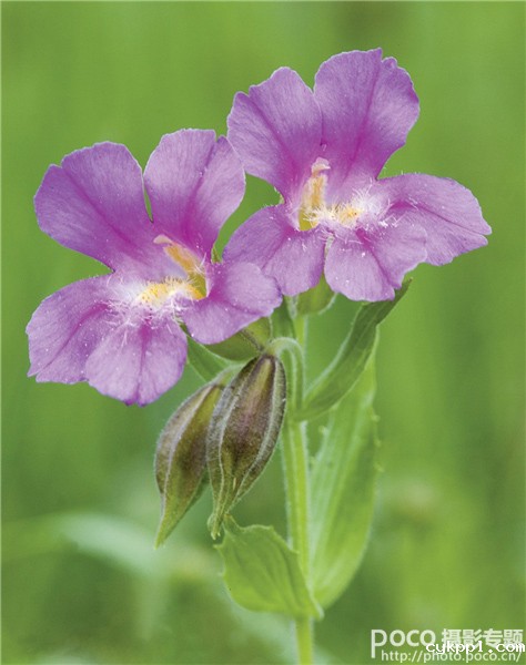 想入门自然风光摄影 你需要了解这些