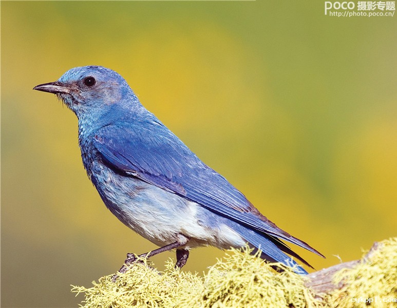 想入门自然风光摄影 你需要了解这些