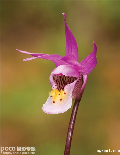 想入门自然风光摄影 你需要了解这些
