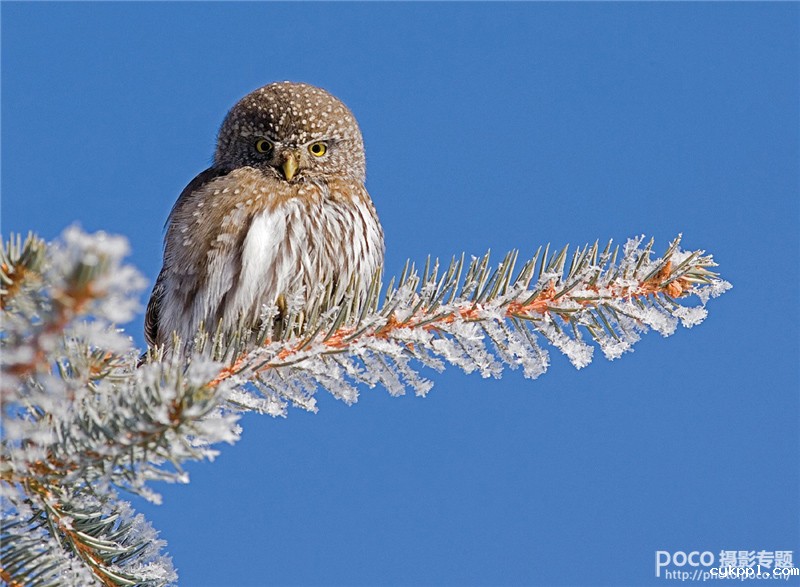 想入门自然风光摄影 你需要了解这些
