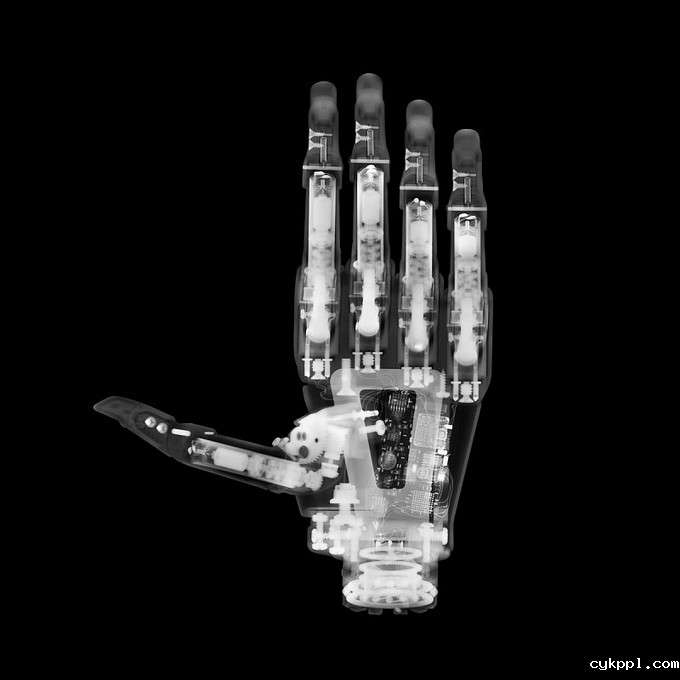 观念摄影：X光下的世界