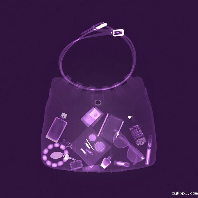 观念摄影：X光下的世界