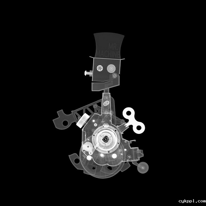 观念摄影：X光下的世界