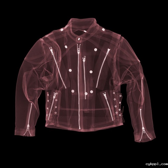 观念摄影：X光下的世界