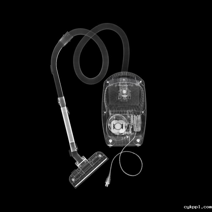 观念摄影：X光下的世界