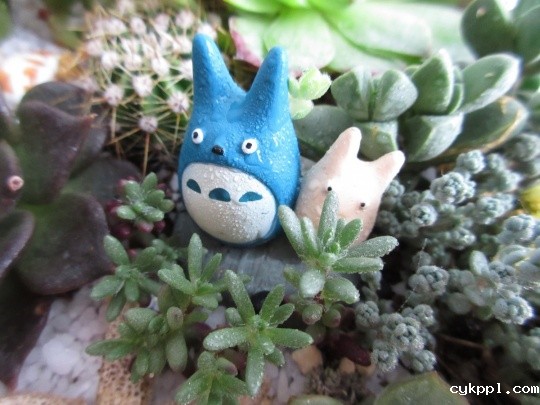 镜头中那些被宠爱的精灵