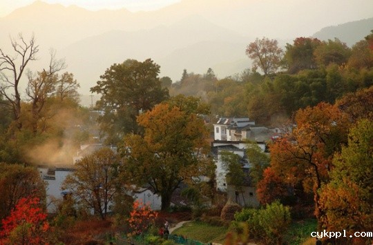 说说我的R、L镜头