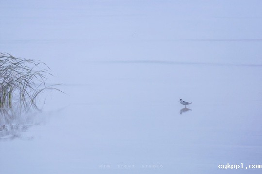 说说我的R、L镜头