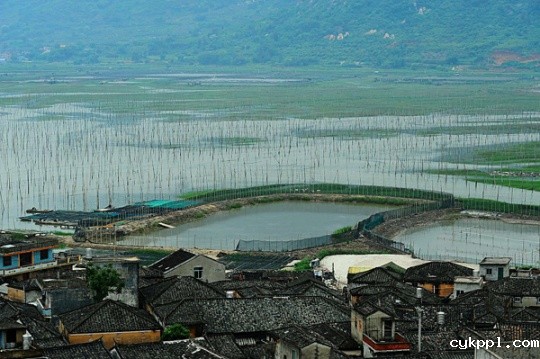 说说我的R、L镜头