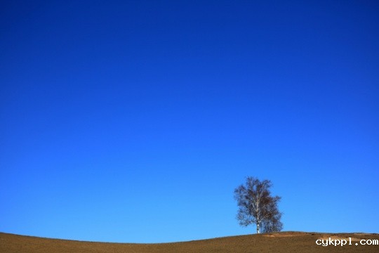 说说我的R、L镜头