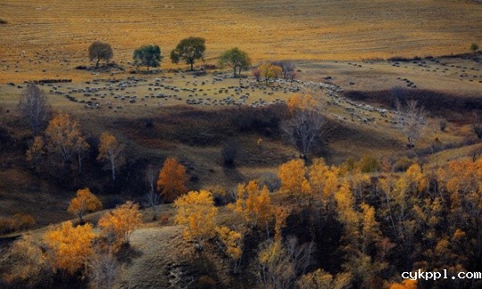 说说我的R、L镜头