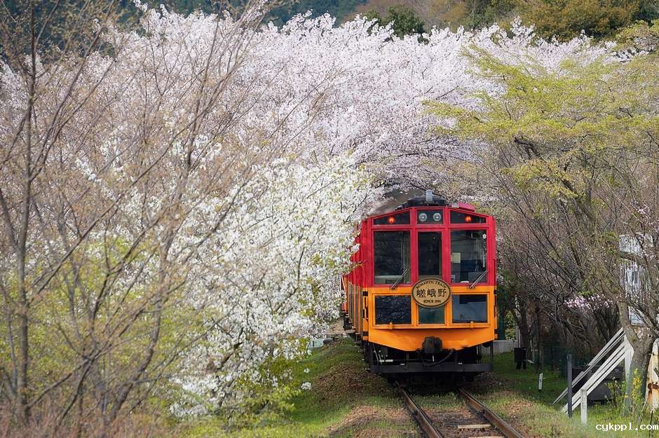 一路风光不遗漏 乘火车遇见未知的自己