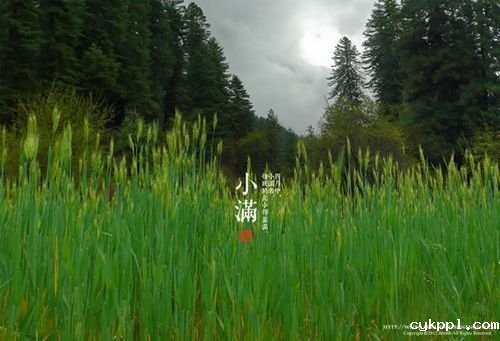 画龙点睛 给照片配上文字有哪些好的排版