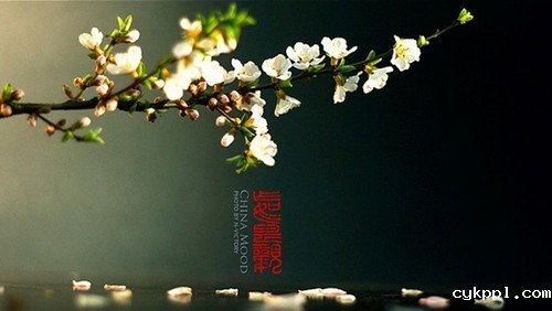 画龙点睛 给照片配上文字有哪些好的排版