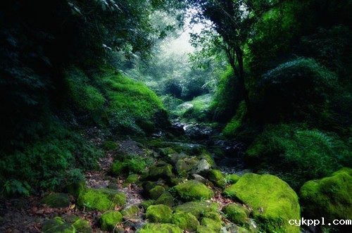 极具性价比 重新认识套装镜头的5大好处